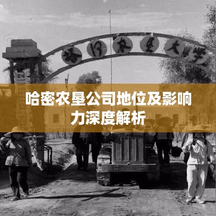 哈密农垦公司地位及影响力深度解析