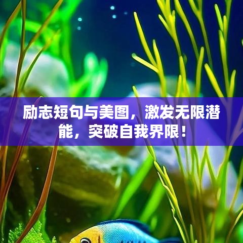 励志短句与美图，激发无限潜能，突破自我界限！