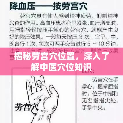 揭秘劳宫穴位置，深入了解中医穴位知识