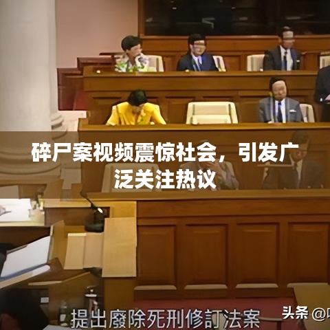 碎尸案视频震惊社会，引发广泛关注热议