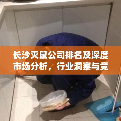 长沙灭鼠公司排名及深度市场分析，行业洞察与竞争态势
