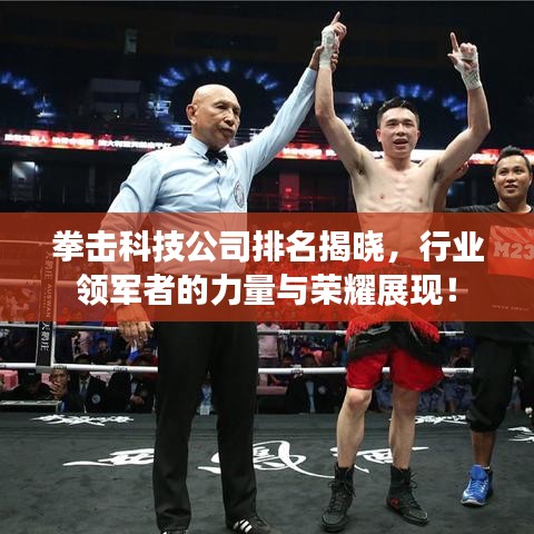 拳击科技公司排名揭晓，行业领军者的力量与荣耀展现！