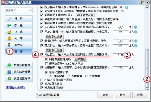 低版本搜狗输入法,长期性计划定义分析|网页款_v1.348