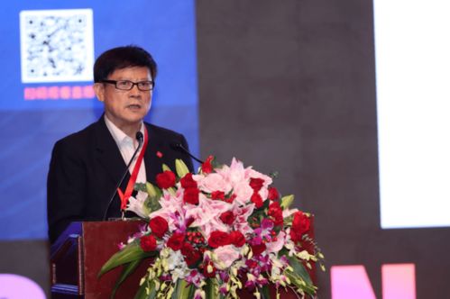 美图版本,动态评估说明_4K版_v8.332