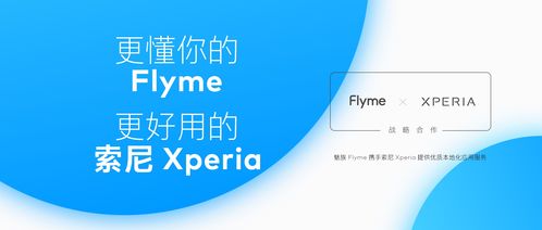 xp 版本,高效计划设计实施&amp;AR_v6.310