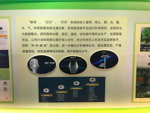 心灵文化官方下载,实证解析说明-桌面款1_v7.885