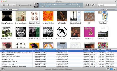 apk官方下载软件,全面说明解析 macOS_v3.456