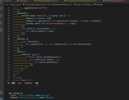 vue安卓旧版本,精细设计解析策略 免费版_v9.903