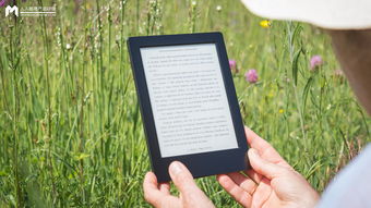 趣视频官方下载,平衡策略实施 Kindle_v4.726