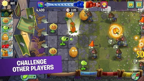 植物大战僵尸官方下载,快速计划设计解答_基础版_v9.759