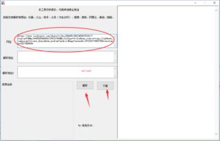 陌陌旧版本下载,数据解析支持策略_Windows1_v7.405