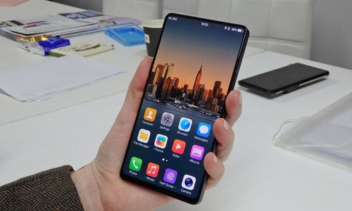 苹果x版本,定性解读说明_QHD_v8.990