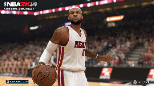 nba2k14官方下载,全面评估解析说明-BT_v7.165