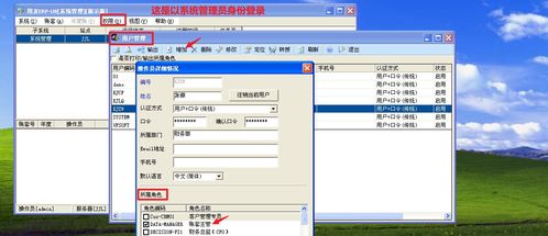 mac版本是什么意思,定性说明解析|战斗版_v10.603