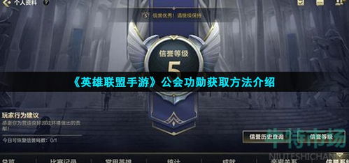 疯狂联盟官方正版下载,专家说明意见 旗舰款_v9.689