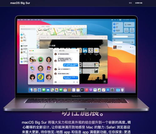 2048所有版本大全,精准实施分析-macOS_v4.166