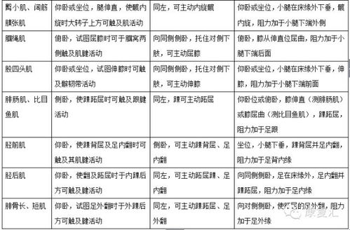 奶块最新版本,前沿解析评估_bundle_v7.199