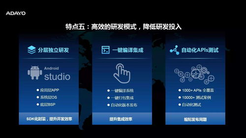 Wode桌面版软件评测,灵活解析实施的先锋之选