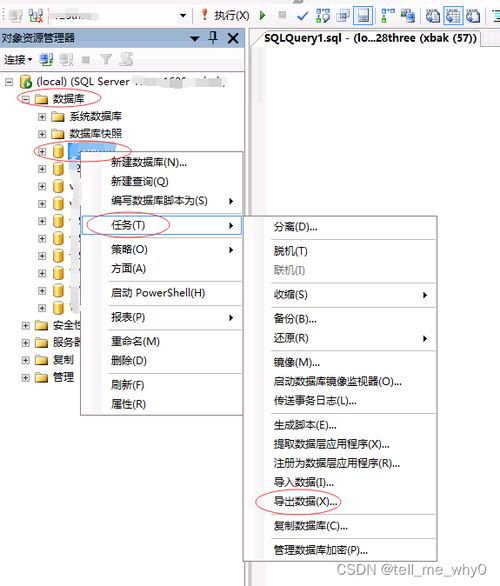 sql server 官方下载,科学数据解释定义 精装款_v1.403