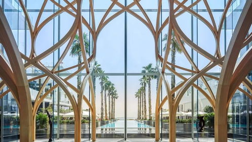 坚果官方rom下载,动态词汇解析&PalmOS_v5.244