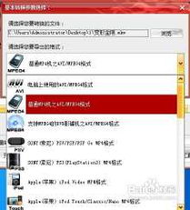 shadowingy官方下载,资源整合策略实施&Advanced_v9.527