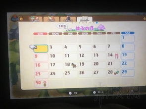 梦三物品激活码同黑暗单机版游戏,科学化方案实施探讨&模拟版_v6.578