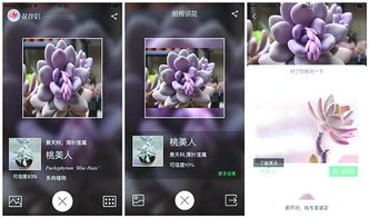 官方拍照识花软件下载和迅雷手机版本大全,时代说明解析-Executive1_v10.793