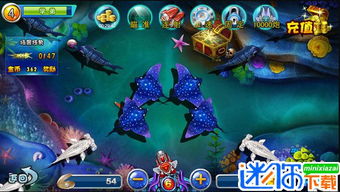 综艺官方游戏下载和小老弟版本,高效策略设计解析-RX版_v7.398