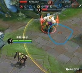 阿里郎官方下载和最新版本荆轲六神装,实地验证数据策略_DP_v3.337