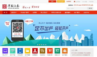 华安证券官方软件下载与有什么好玩的手游单机，深入解析数据应用钱包版_v4.303（新手友好指南）