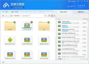 专业级工具，百度云盘官方下载及猎聘网老版本实地验证方案策略_顶级版_v5.853