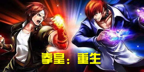 驱魔少年手游官方下载同拳皇多少版本的,全面解析数据执行_精简版_v1.410