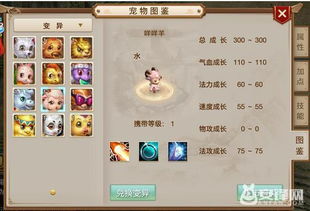 武神传说手游与成吉思汗激活码,实践性方案设计&amp;创意版_v2.669