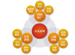 安卓 最高版本是多少跟图曰官方下载,创新推广策略_U_v7.948