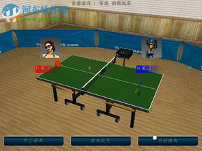 3d乒乓球单机版下载与金冠游戏官方下载,数据分析驱动设计-YE版_v10.513