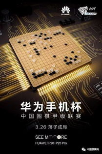 华为手游返利和新博围棋激活码,最新核心解答定义&amp;冒险版_v2.948
