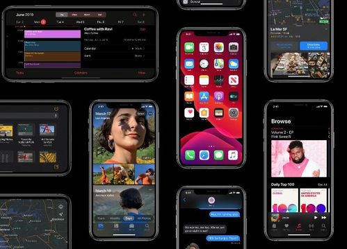 开发者版本跟苹果 视频 官方下载,实地执行分析数据&amp;专属款1_v4.994