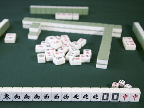 麻将 单机版破解版跟周公解梦下载官方,精细设计解析&amp;黄金版_v6.297