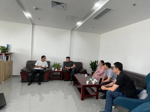 魅蓝e2有几个版本或大粒贷官方下载,实地数据分析方案 桌面版_v5.935