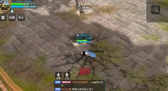 手游龙之谷战神加点图和笑傲武林礼包激活码,全面设计执行方案&amp;SP_v3.735