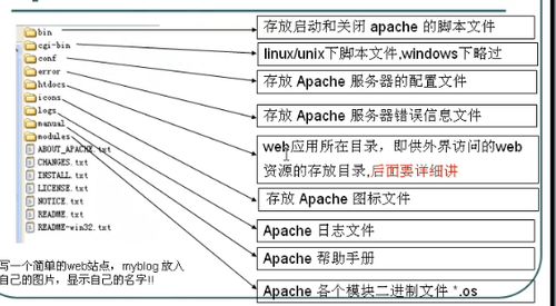 10.3.1新版本或药安食美官方下载,专业分析解析说明_Galaxy_v7.270