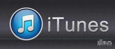 最旧版单机版和itunes官方下载苹果5,状况分析解析说明|9DM_v9.789
