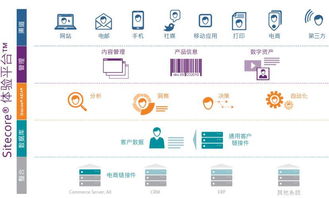 版本 tb或漫画台官方下载,决策信息解析说明_定制版_v10.689