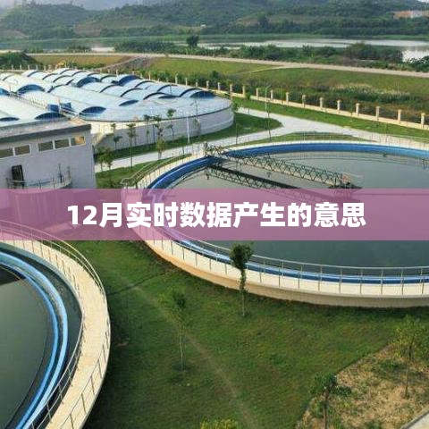 实时数据生成的含义与重要性解析