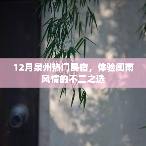 泉州十二月热门民宿，闽南风情体验首选