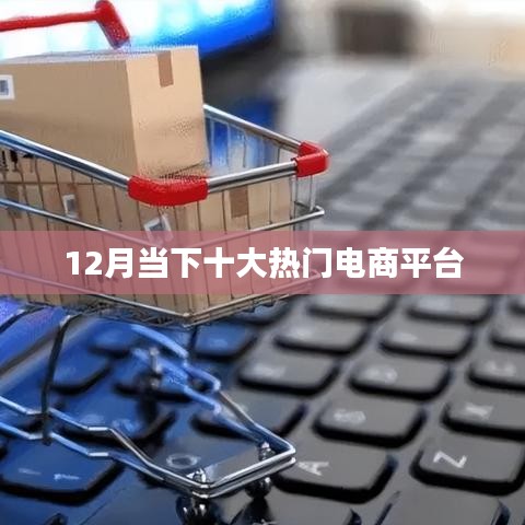 12月热门电商平台榜单TOP10