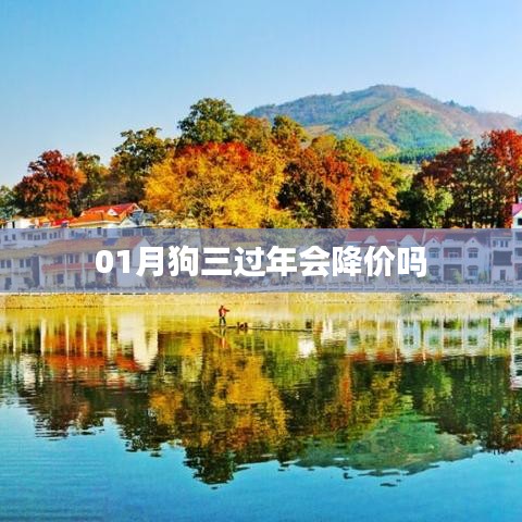 狗年春节期间宠物狗市场趋势分析，价格会否下降？