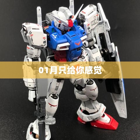 01月独特感受，时光中的微妙印记