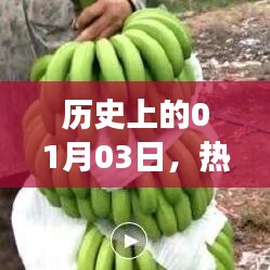 如鸟兽散 第3页