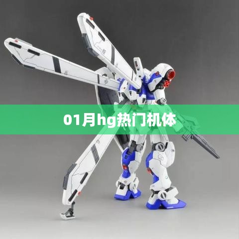 01月hg热门机体盘点